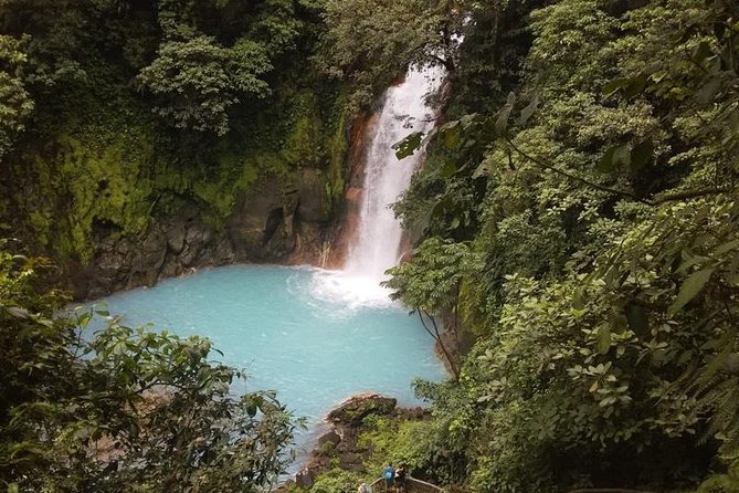 Premium Tour:Sloths and Río Celeste Y Cortez Waterfalls (Tenorio Volcano Park) - Natural Wonders of Tenorio Volcano Park
