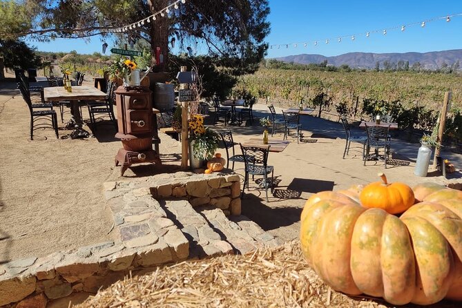 Premium Valle De Guadalupe Wine and Food Tour - Savor Farm-to-Table Cuisine
