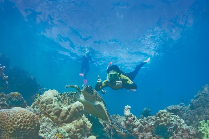 Premium Whitsunday Islands Sail, SUP & Snorkel Half Day Tour - Tour Experience