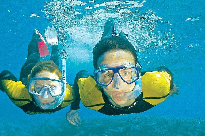 Premium Whitsunday Islands Sail, SUP & Snorkel Half Day Tour - Eco-Friendly Practices