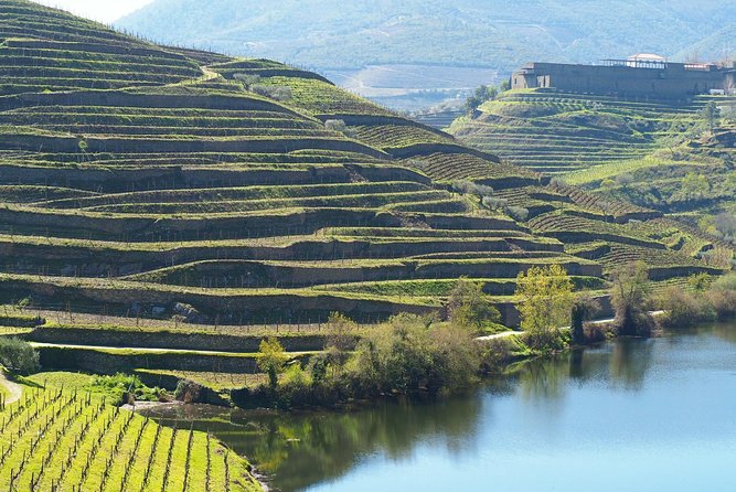 Premium Wine Experience Through Douro Valley - Unique Highlights of the Tour