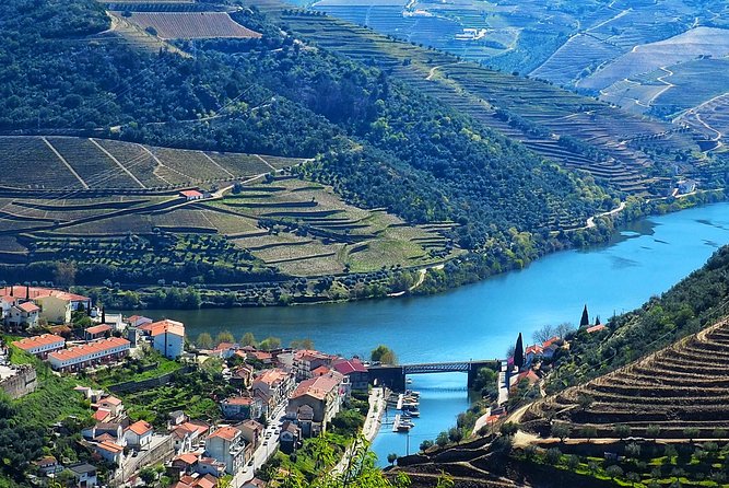 Premium Wine Experience Through Douro Valley - Exploring the Douro Valley Vineyards