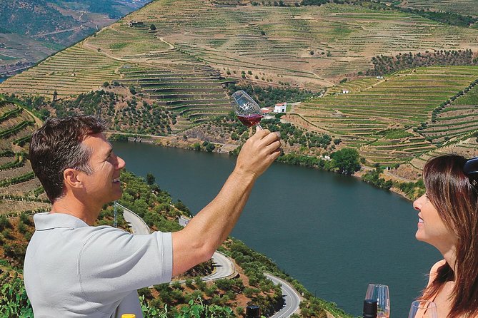 Premium Wine Experience Through Douro Valley - Wine Tasting and Culinary Experience