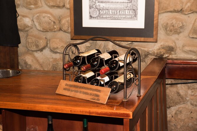 Premium Wine Tasting and Tour at Santa Rita + Private Transport - Transportation and Logistics