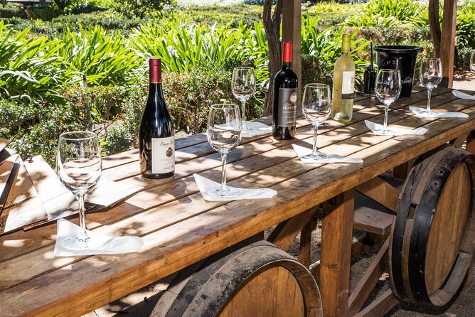 Premium Wine Tasting and Tour at Santa Rita + Private Transport - Tour Overview