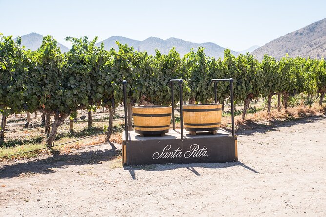 Premium Wine Tasting and Tour at Santa Rita + Private Transport - Inclusions and Age Restrictions