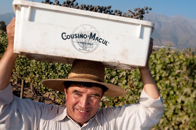 Premium Wine Tour in Viña Cousiño Macul - Accessibility and Additional Info