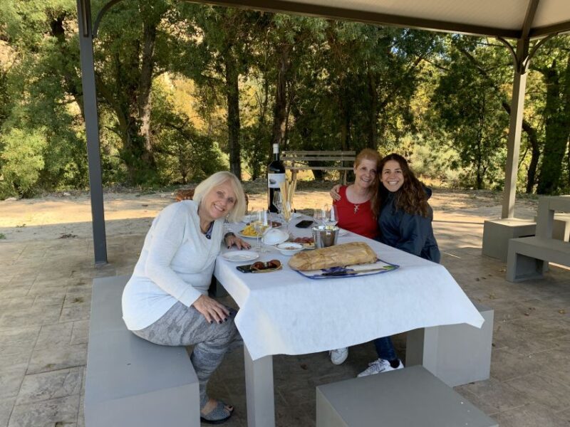 Premium Wine Tour of Rioja With Gourmet Lunch (From Bilbao) - Picturesque Vineyards and Mountains