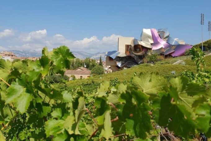 Premium Wine Tour of Rioja With Gourmet Lunch (From Bilbao) - Frequently Asked Questions