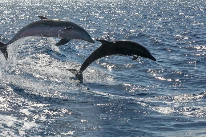 Premium Yacht Private Charter - Booking Flexibility