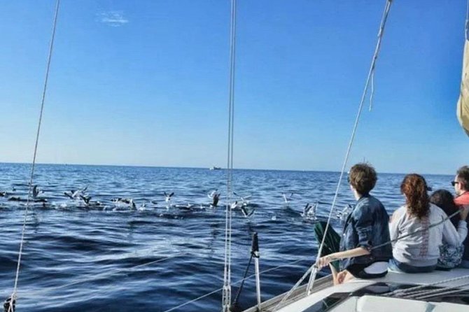 Premium Yacht Private Charter - Pricing Information