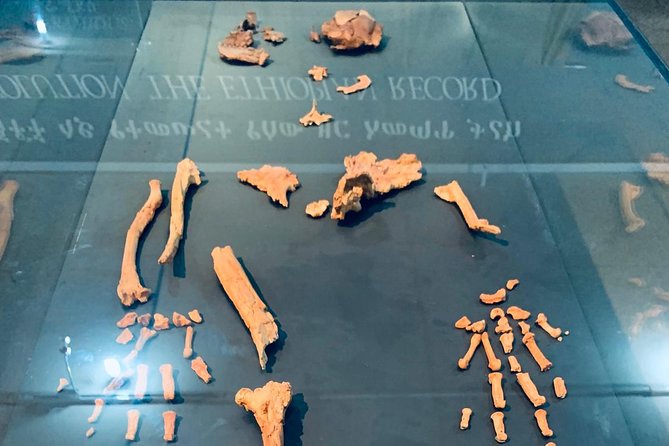 Prepare for the Best Day Tour in Addis Ababa - Visiting the National Museum