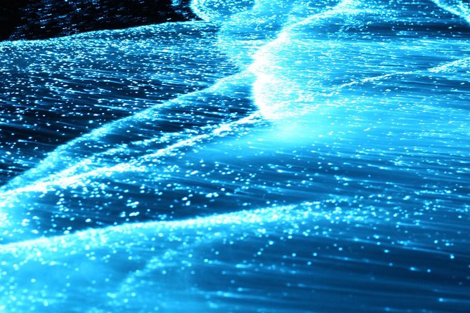 Preserving Baby Sea Turtles And Filling You With Energy In Bioluminescent Lights - Frequently Asked Questions