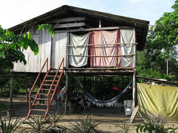 Presidente Figueiredo Waterfalls Day Trip From Manaus - Key Points