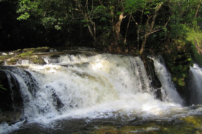 Presidente Figueiredo Waterfalls Day Trip From Manaus - Accessibility and Conditions