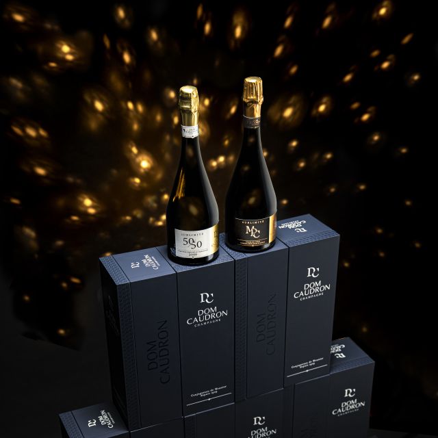 Prestige Experience - French Tour - Champagne Passy-Grigny - Key Points