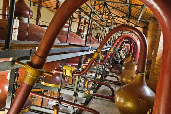Prestige Tour and Cognac Tasting - Exploring the Cognac House