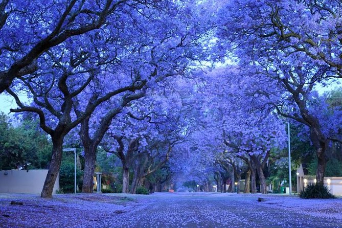 Pretoria Capital City Tour From Pretoria, Every TUESDAY - Explore Union Building