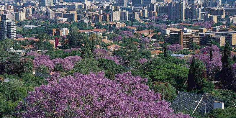 Pretoria City Tour - Safety and Reliability