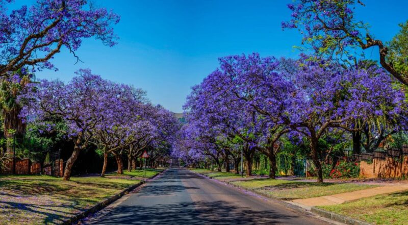 Pretoria: Half-Day City Tour - Key Points