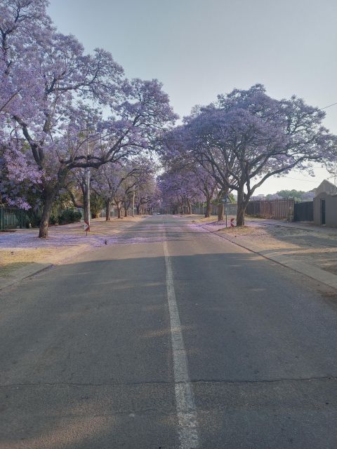 Pretoria Half Day Tour - Pretorias National Heritage