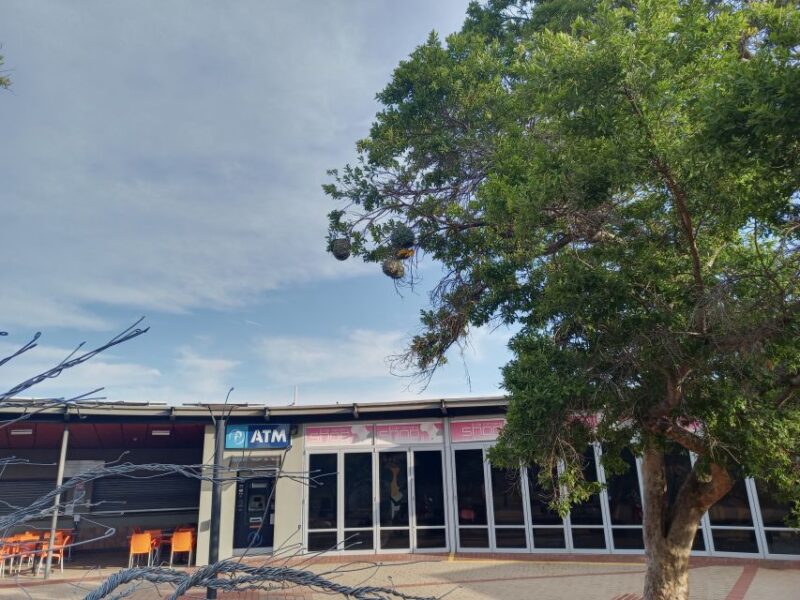 Pretoria/Sandton: Cradle of Humankind and Wonder Caves Tour - Exploring the Cradle of Humankind