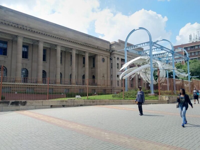Pretoria Soweto And Johannesburg - Wheelchair Accessibility
