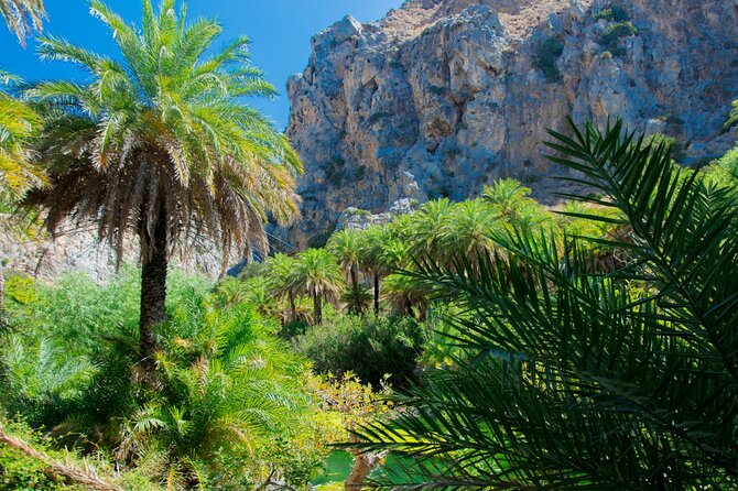 Preveli Palm Beach Boat Cruise & Rethymnon Town From Heraklion - Accessibility Requirements