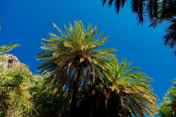 Preveli Palm Beach From Rethimno - Pickup and Dropoff