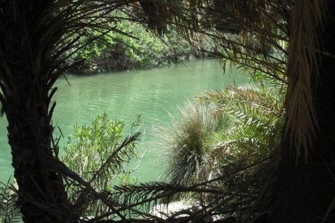 Preveli Palm Beach Tour From Rethymno - by Private Boat - Transportation Arrangements