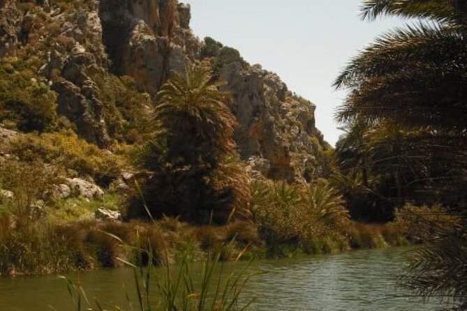 Preveli Palm Beach Tour From Rethymno - by Private Boat - Reviews and Feedback