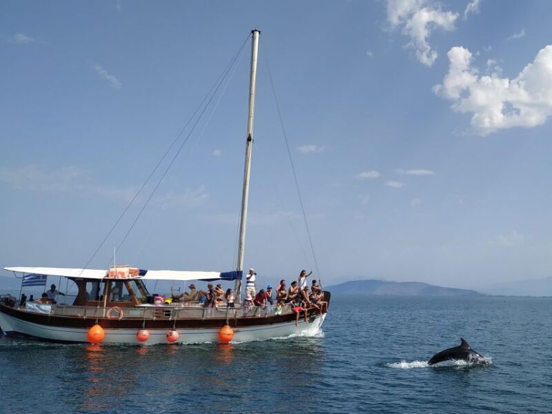 Preveza: Dolphin Watching Cruise With Lunch and Drinks - Onboard Amenities