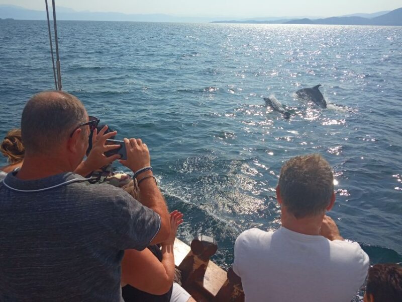 Preveza: Dolphin Watching Cruise With Lunch and Drinks - Suitability for Seasickness-Prone Individuals