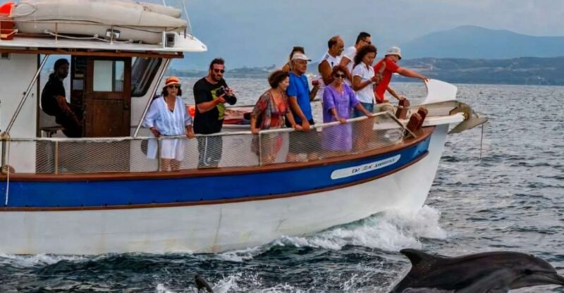 Preveza: Dolphin Watching Cruise With Lunch and Drinks - Customer Reviews Highlights