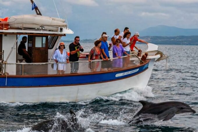 Preveza: Dolphin Watching Cruise With Lunch and Drinks - Frequently Asked Questions