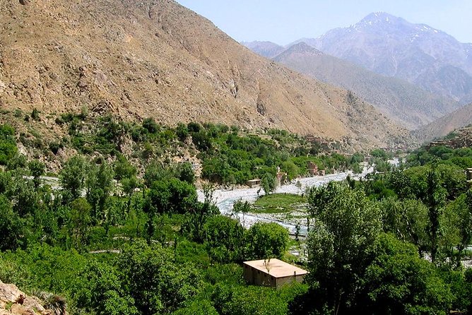 Priavte Day Trip to Lake Takerkoust,Asni and Ourika Valley From Marrakech - Traveler Reviews and Ratings