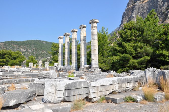 Priene Miletos Didyma Tour From Kusadasi / Selcuk Hotels - Cancellation and Booking