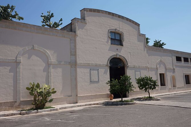 Primitivo and Negroamaro Wine Tour: a Visit to Two Wineries and Typical Lunch. From Lecce - Tour Details