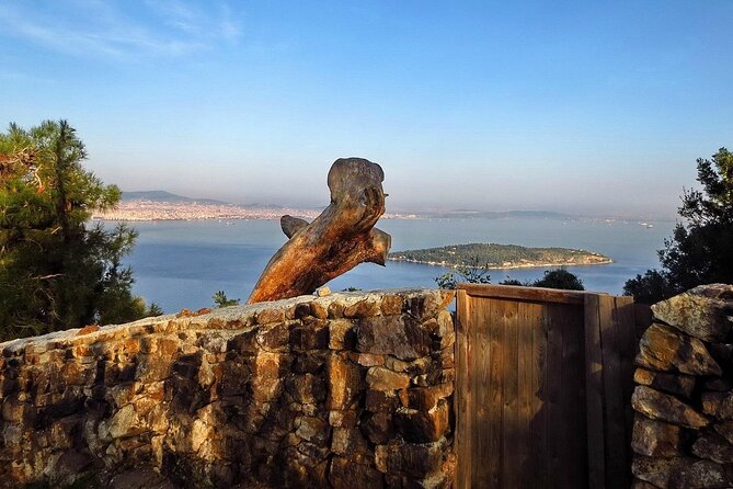 Princes Island Tour From Istanbul With Lunch - Pickup and Meeting Details
