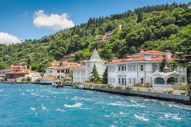 Princes Islands Tour From Istanbul Lunch Included - Tour Operators and Support