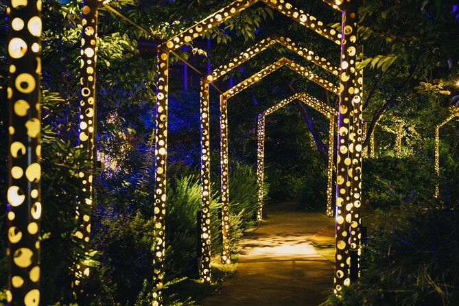 Princess Kaguyas Glowing Garden Pass in Sakuramachi Kumamoto - Visitor Guidelines