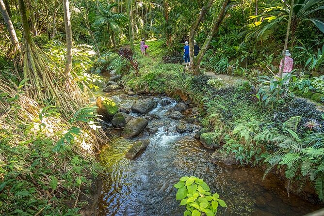 Princeville Botanical Gardens Tour and Chocolate Tasting Ticket - Customer Reviews