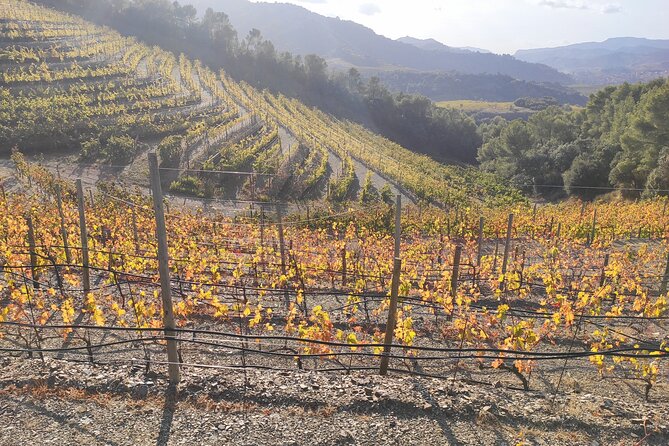 PRIORAT MEDIEVAL PRIORAT Full Day Tour Siurana and Escala Dei - Booking Information