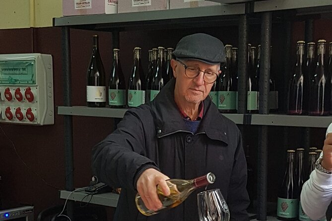 Priorat Wine Tasting Tour From Salou With Hotel Pickup - Guided Wine Tasting Experience