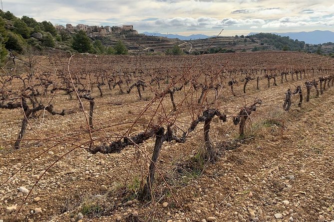 Priorat Wineries Tour With Wine Tastings and Lunch From Barcelona - Wine Tasting Experiences