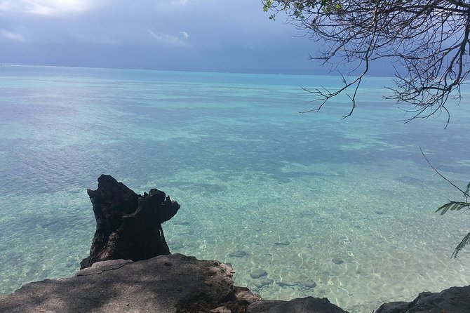 Prison Island Half-Day Tour From Zanzibar - Activities Available on the Island