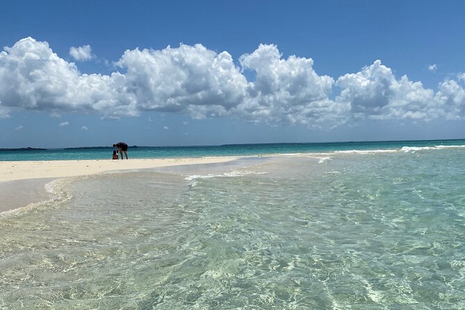 Prison Island + Nakupenda Tour - Booking Your Stay