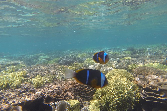 Prison Island Tour - Inclusions and Exclusions