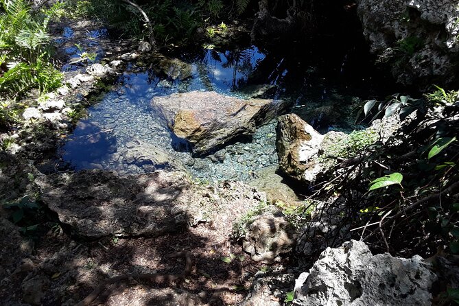 Pristine Spring and Cave Mountain Bike Tour - Included Amenities