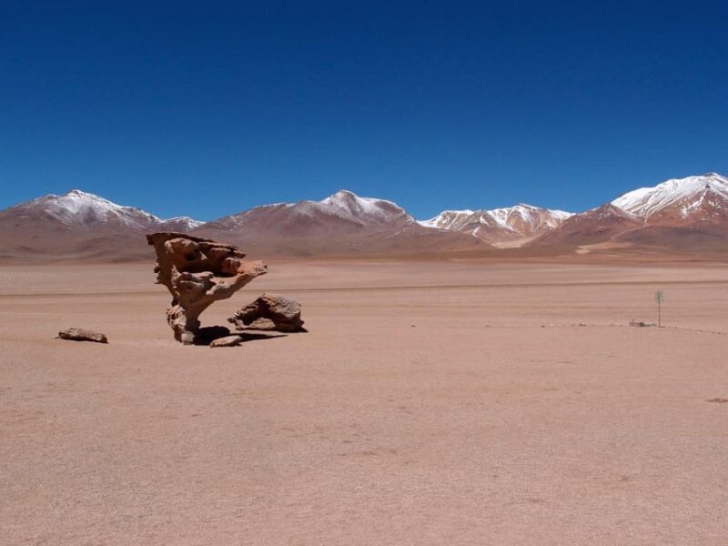 PRIV 3D Tour Salar and Colored Lagoon Round Trip From Uyuni - Key Points
